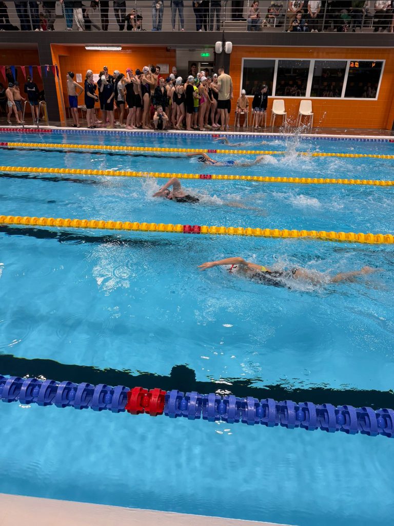 skats uz peldbaseinu, ar peldētājiem